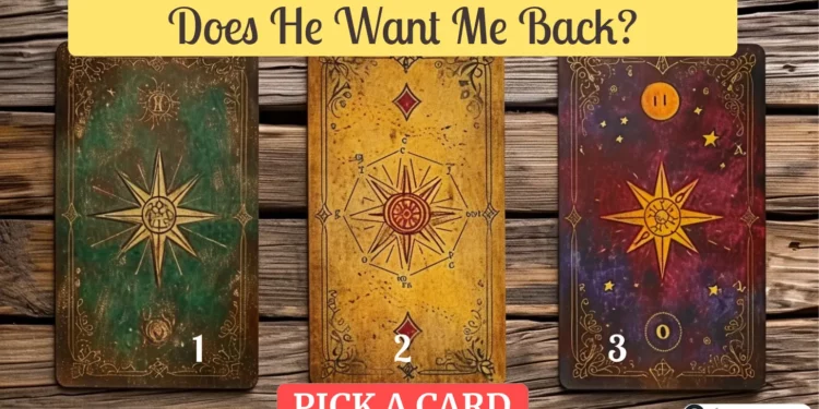 does he want me back tarot
