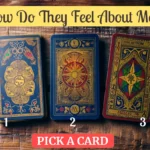 how do they feel about me tarot spread