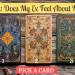 how does my ex feel about me tarot spread