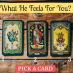 tarot what he feels for you