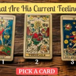 what are his current feelings tarot