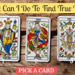 what can i do to find true love tarot
