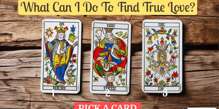 what can i do to find true love tarot