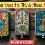 what does he think about me tarot