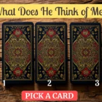 what does he think of me tarot