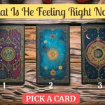 what is he feeling right now tarot