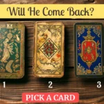will he come back tarot