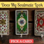 what does my soulmate look like tarot reading free
